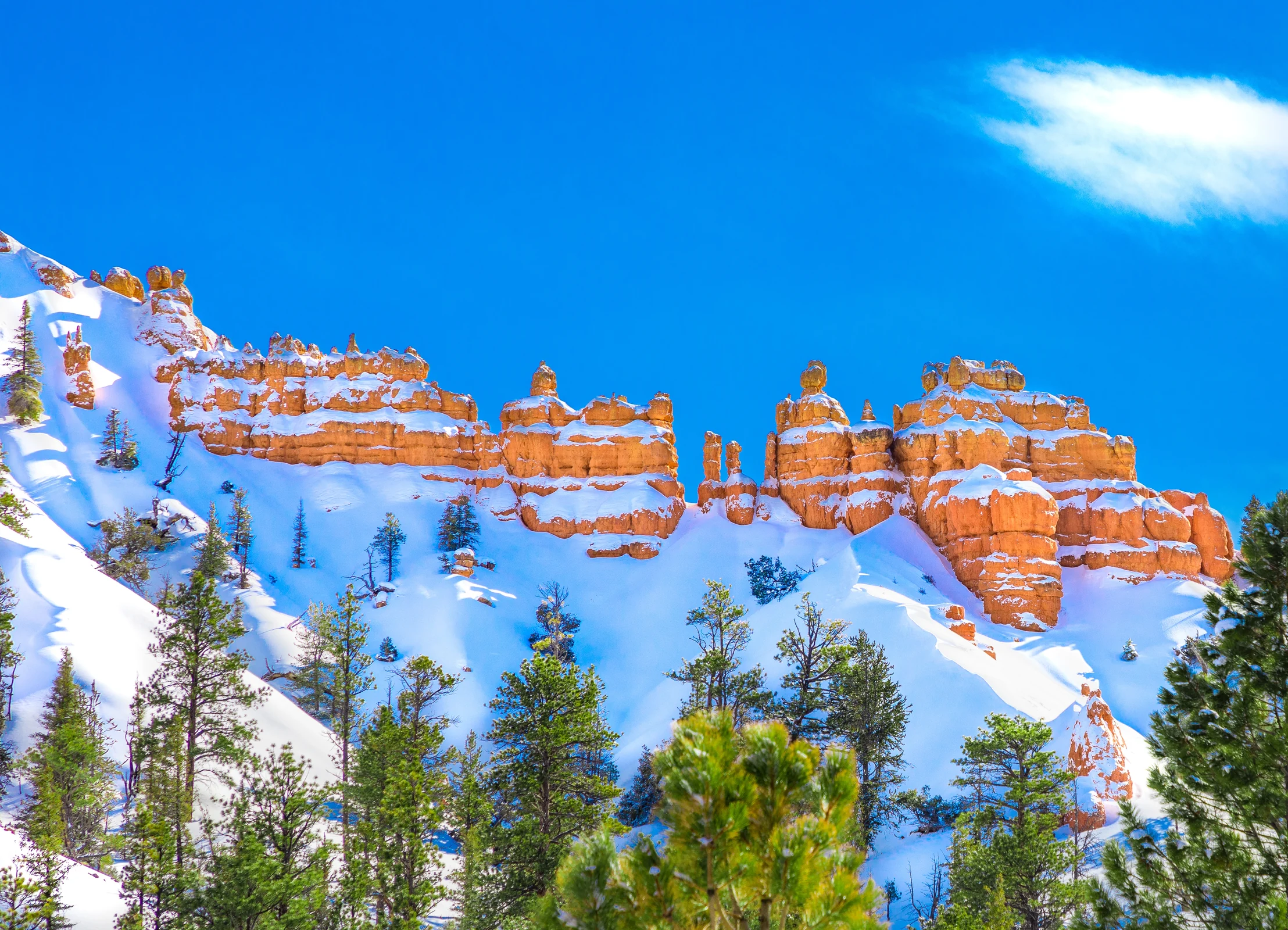 Snow-covered red rock formations and evergreen trees