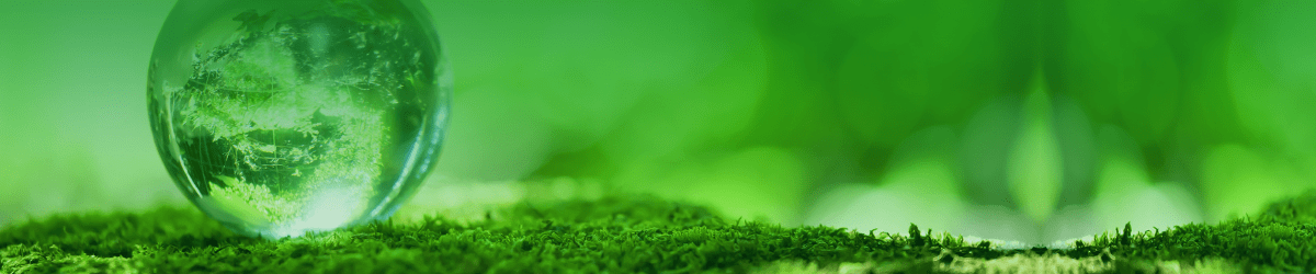Glass globe resting on moss, illustrating environmental protection